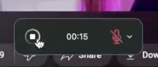 Stop record