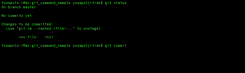 git commit