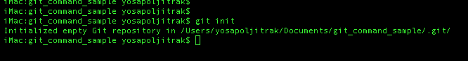 git init
